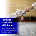 thumbnail image 5 of Kats 'N Us Puppy Teething Toys Dog Rope Rubber Chew Toy (1 Pack) Blue, 5 of 6