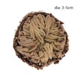 thumbnail image 1 of 1PC Resurrection Plant Air Fern Selaginella Moss Immortalized Grass Dry Leaves, 1 of 5