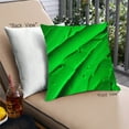 thumbnail image 1 of Ahgly Color Focus Green Company Coussin d'Extérieur, 18 Pouces par 18 Pouces, 1 of 6