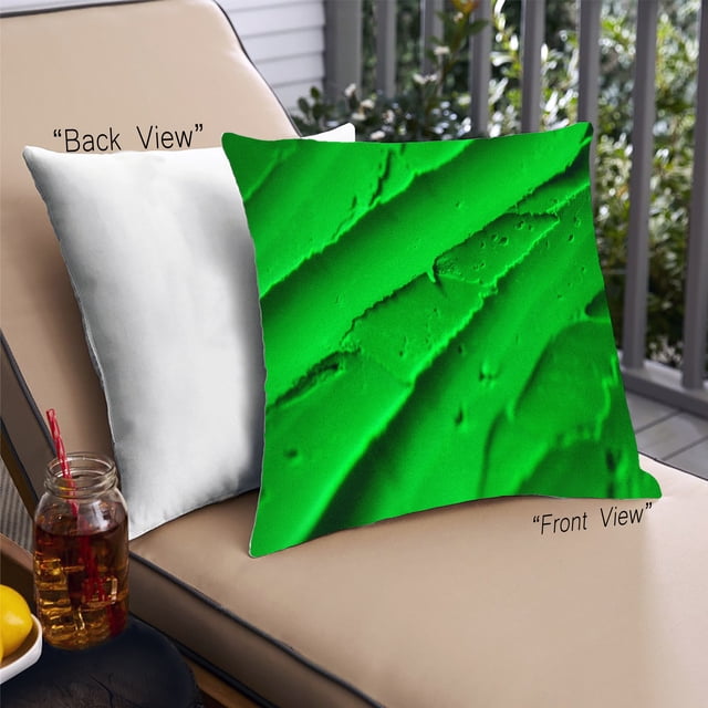Ahgly Color Focus Green Company Coussin d'Extérieur, 18 Pouces par 18 Pouces