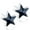 Jet, variant on | Hypoallergenic | Medical Plastic 6mm Star Stud Earrings | Best Choice For Sensitive Ears