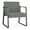 Asteroid, variant on Waterfall Reception Sled Base Oversize Guest Chair / Charcoal Steel / Light Gray