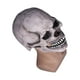 thumbnail image 1 of Máscara de calavera de cabeza completa de cabeza completa realista de Halloween con mandíbula móvil Casco de esqueleto de látex aterrador para accesorios de fiesta de cosplay ANGGREK  Otros, 1 of 8