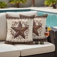 thumbnail image 4 of Texas Star Vintage Outdoor Waterproof Pillow Covers, Brown Retro Art Red Berry Farmhouse Decorative Square Throw Pillowcase Sofa Cushion Sham for Patio/Couch/Chair, 20"x20" 2 Pack, 4 of 8