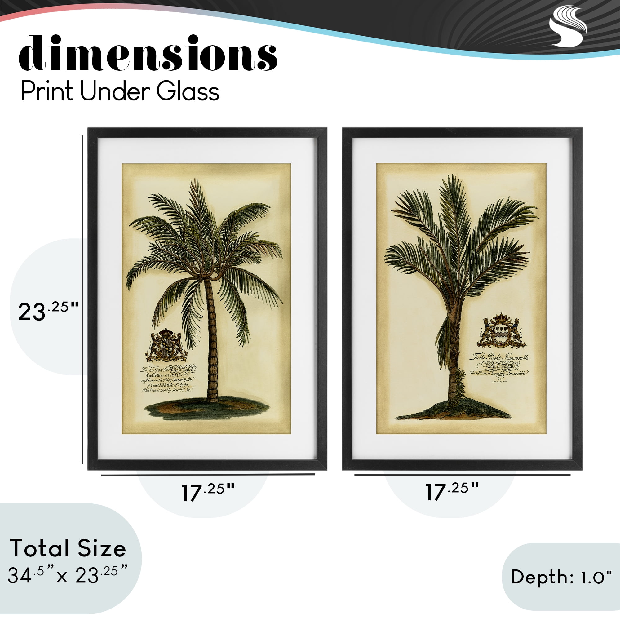 Stupell Industries Vintage Historical Palms 2 Piece Black Framed Print Under Glass Set, design by Vision Studio