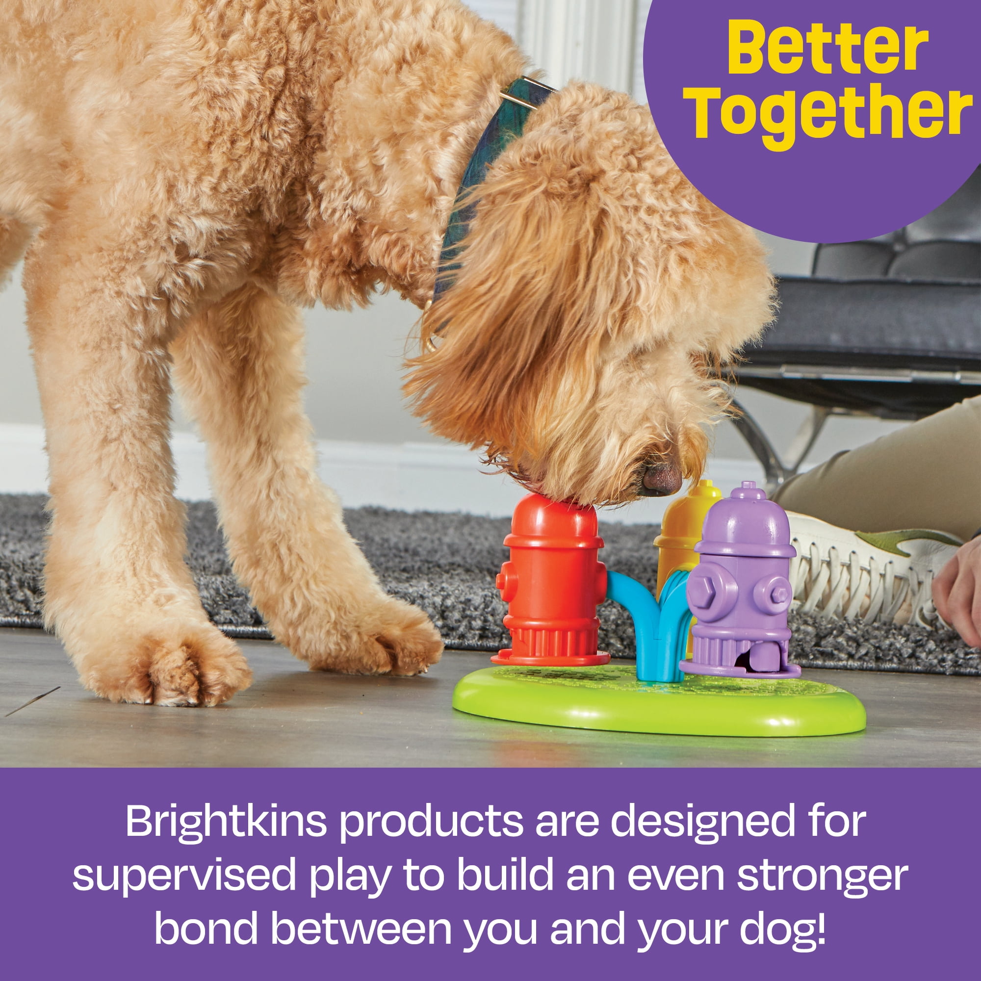 Brightkins Brain Teaser Treat Puzzle Dog Toy