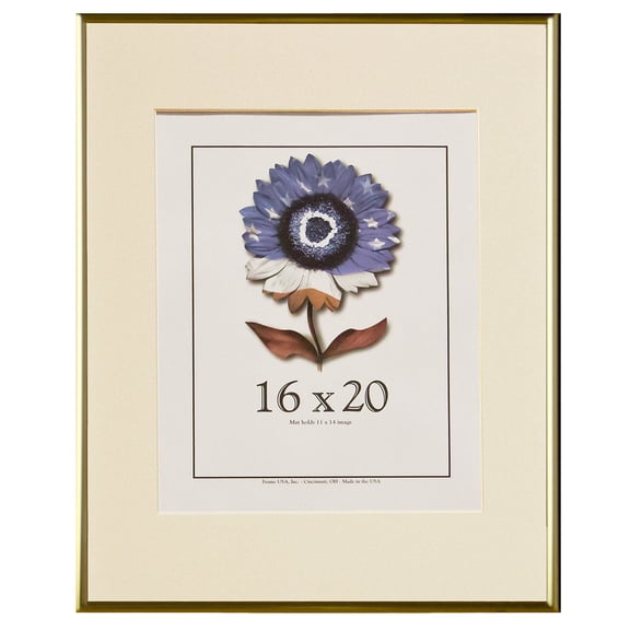 Frame USA 16 in x 20 in Acrylic/Aluminum Picture Frames, Gold
