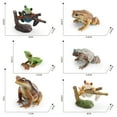 thumbnail image 6 of BAELLERT Tree Frog Figurine Realistic Toad Statue Sculpture Ornament Decoration Kids Educational Simulation Wild Animal Model Toy Toddlers Boys Girls Gift, 6 of 8