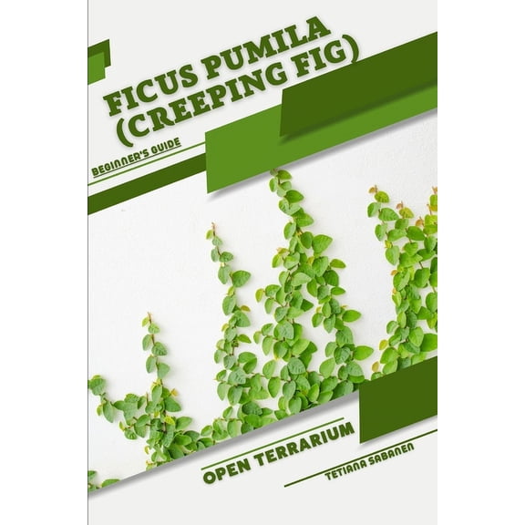 Ficus pumila (Creeping Fig): Open terrarium, Beginner's Guide, (Paperback)