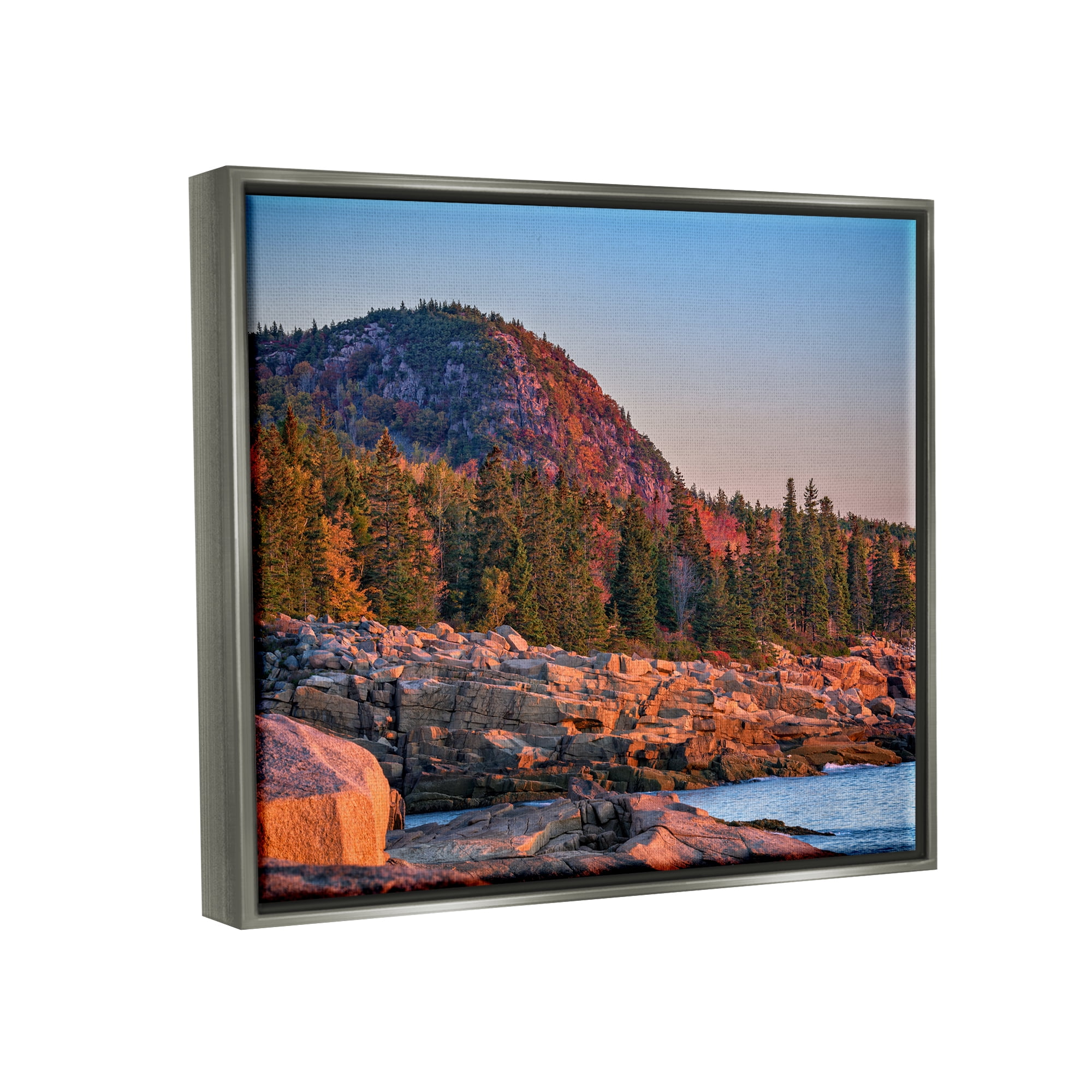 Stupell Rocky Seaside Mountain Cliff Landscape Photography Gray Floater Framed Art Print Wall Art