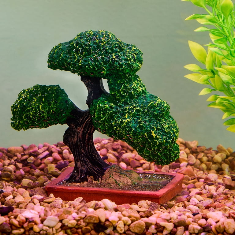 bonsai ficus ginseng düngen Ficus 'Ginseng' Bonsai Ø:24 H:70 cm - Pflegeleichter Bonsai main image 1