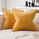 thumbnail image 1 of Cterwk - Juego de 2 fundas de almohada de terciopelo con cremallera, 45 x 45 cm, decorativas, suaves y lisas, para sofá cama o sofá., 1 of 7