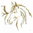 thumbnail image 2 of Paschke, Chris 15x15 White Modern Wood Framed Museum Art Print Titled - Gilded Mare on White, 2 of 4