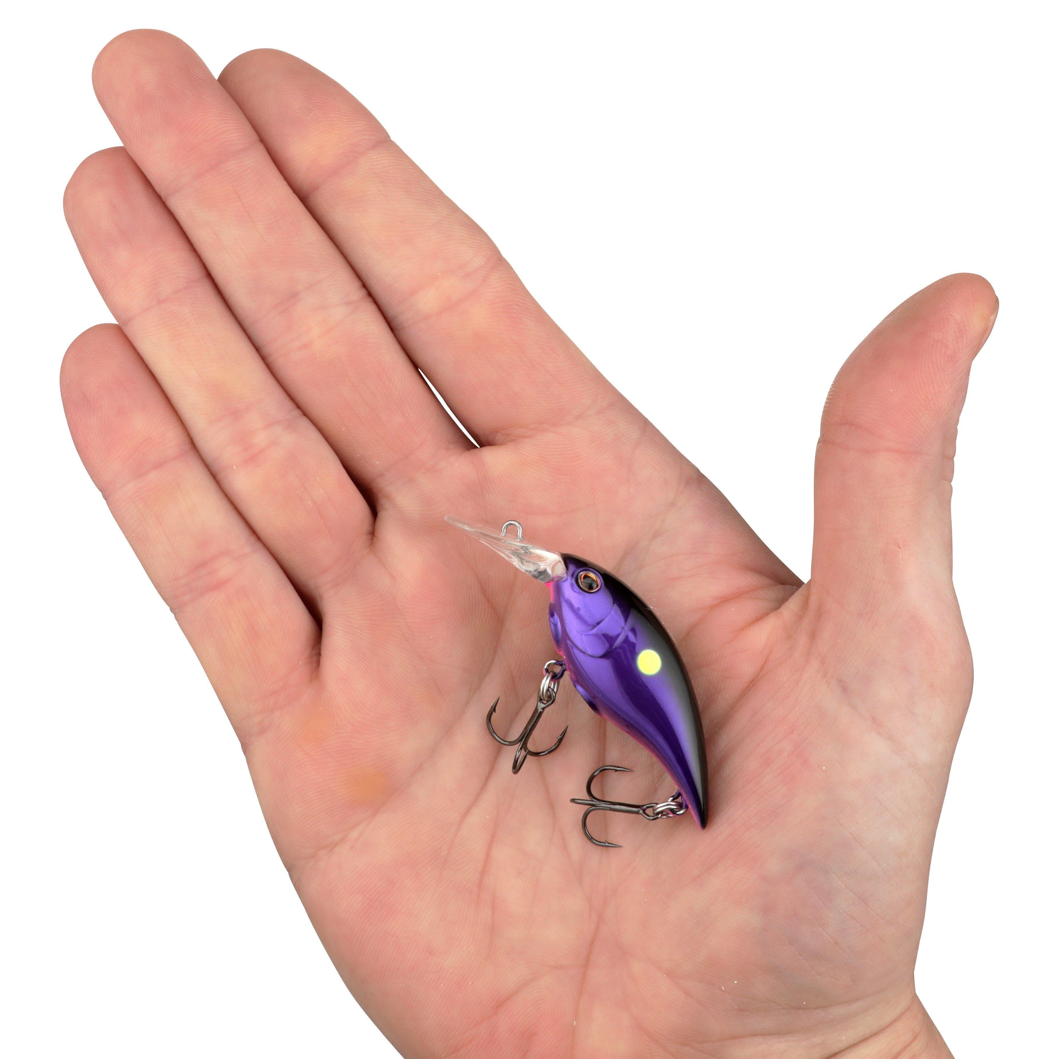 Berkley Money Badger, 4, Korey's Candy