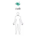 thumbnail image 3 of Camisa De Caballero Gop, 3 of 5
