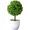 Green, variant on JUANCHENG For MINI Round Ball Artificial Bonsai Plant Sakura Style Home Decoration