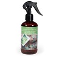 thumbnail image 1 of ScentSationals Room Spray - Eucalyptus & Sea Salt, 1 of 4