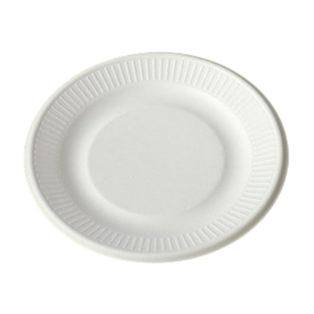Disposable Bamboo Pulp Paper Plates 10 in 10 Count for Party BBQ Fruit Cake Serving