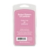 Pink Fig & Spruce Premium Scented Wax Melts, Better Homes & Gardens, 3.5 oz (1-Pack)