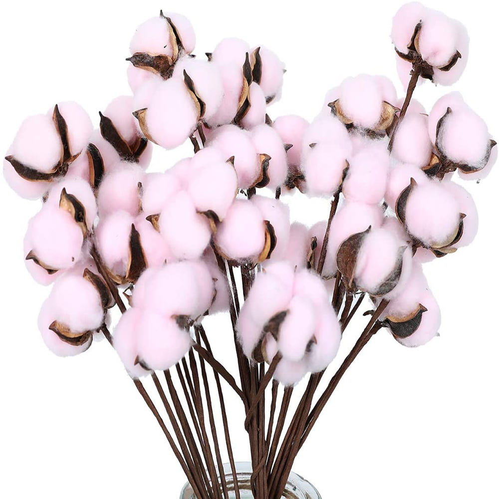 4Balls per Stem Cotton Flower Dried Cotton Eucalyptus Naturally Artificial Flower  Picks Natural Cotton Balls reed pampas bulrush - AliExpress