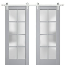 Sturdy Double Barn Door with Frosted Glass | Veregio 7412 Matte Grey | 13FT Rail Hangers Heavy Set | Solid Panel Interior Doors-84" x 80" (2* 42x80)-Silver Rail