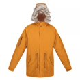 thumbnail image 1 of Regatta Mens Salinger III Parka, 1 of 5