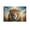 Unframe-style, variant on Christian Wall Art Lion of Judah Poster Bible Jesus Canvas Print Art Poster Canvas Painting Decor Wall Print Photo Gifts Home Modern Decorative Posters 08x12inch(20x30cm)