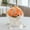 Orange, variant on Tachiuwa Wedding Bouquet for Bride Bridal Bouquet 8 inch Wedding Centerpieces Bride Holding Flowers for Party Bridal Shower Decoration Champagne