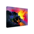thumbnail image 4 of Canvas Wall Art - Thomas Leung 'Lavas Descent' Wall Art for Living Room, Bedroom, or Office Décor by Trademark Fine Art - 32 x 24 Inches, 4 of 4