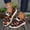 Saffron, variant on KEVCHE Women Halloween Pumpkin Shoes, Soft Comfortable Knitted Slip on Loafers , Cute Spooky Lace Up Breathable Walking Casual Dress Shoes for Halloween Party