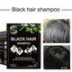 thumbnail image 5 of Black Hair Shampoo Hair Dye Shampoo Organic Permanent Grey Hair Removal, 5 of 5