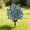 Blue, variant on Zeiwohndc Bright Grape Artificial Flower with Sturdy Round Base for Yard Decoration