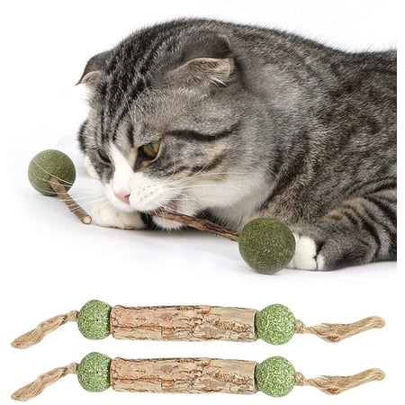 Grembeb Cat Toys 21PCS Catnip Toy For Indoor Kitten Treat Cats Chew Stick For Dental Cleaning Teeth Kitten Silvervine Rope Kitty Feather Snack For For...