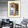 thumbnail image 4 of de Pintura Animal Amante Taladro Completo Espacio Exterior DIY 5D Diamante Decoración de Hogar 35x45 Multi, 35x45 cm Sunnimix Pintura del diamante DIY, 4 of 8