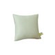 thumbnail image 1 of Sala de Estar Decoración Verde Hoja Tropical Funda de Almohada 17.7x17.7 Sofá Funda de Almohada Verano Tirar Almohada Decoración Del Hogar Sala de Estar Dormitorio Colchón Sofás Al Aire Libre para la, 1 of 9