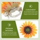 thumbnail image 3 of 2 piezas de sujetadores de cortina con forma de girasol, clips para sujetar cortinas, clip para sujetar cortinas, 3 of 7