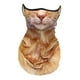 thumbnail image 4 of 4 Polainas Para El Cuello Con Diseño De Gato, Mascarilla De Verano Con Presillas Para Las Orejas Para Esquiar A Diario, Color Marrón, 4 of 8