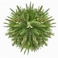 thumbnail image 2 of Kurt Adler 9-Foot 1000 Warm White LED Grand Fir Medium Tree, 2 of 3