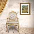 thumbnail image 3 of Terrill, Steve 15x18 Gold Ornate Wood Framed with Double Matting Museum Art Print Titled - OR, Seal Rock SP Patterns on sandstone rock, 3 of 4