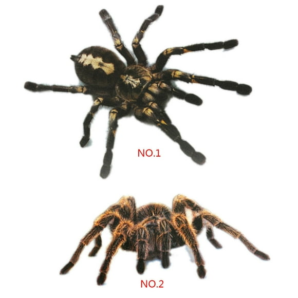 1Pcs/2Pcs 3D Spider Sticker Funny Car Head Tail Personality car sticker Car Spider Stickers Decal Decor DIY Decoration
