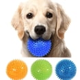 thumbnail image 3 of Typpkmm Pet Dog Toys with Puppy Sounding Toy Polka Squeaky, 3 of 7