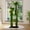 Green-1, variant on 41.3'' Modern Tree Tower for Indoor Cat,Cat Tree with Sisal-Covered Scratching Posts and Top Perch with Acrylic Hammock,Natural+White
