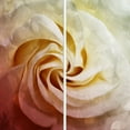 thumbnail image 2 of Villa, Mlli 15x15 Gold Ornate Wood Framed with Double Matting Museum Art Print Titled - Close To The Flower, 2 of 4
