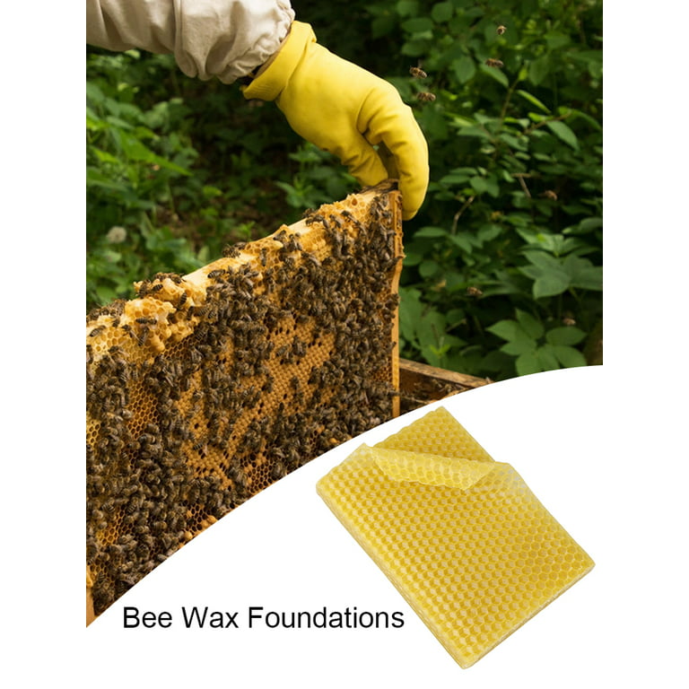 Fairnull 10Pcs Natural DIY Beeswax Sheets Eco-friendly Beekeeping Equipment  Bee Comb Honey Frame for Crafts 