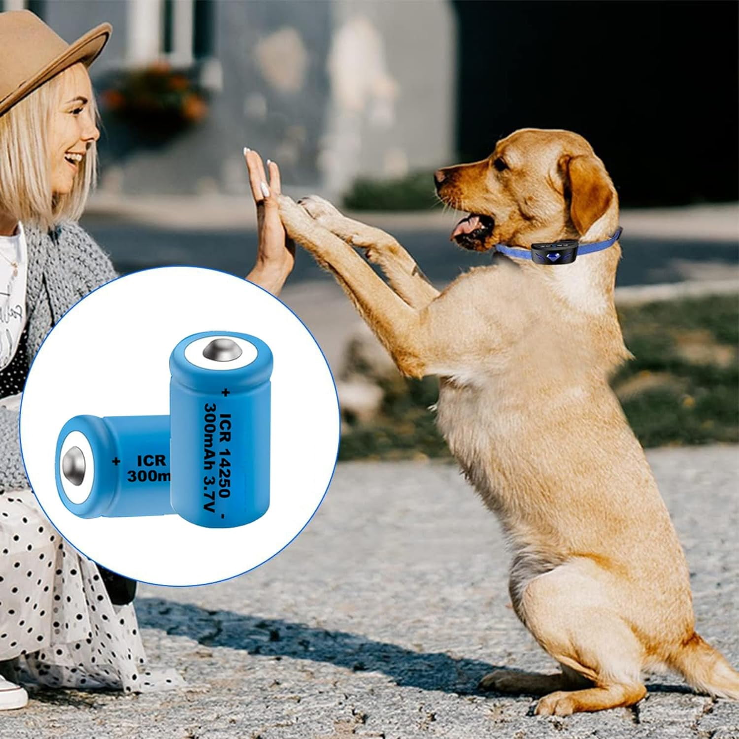 14250 Battery Rechargeable 4 Pack, 3.7V Lithium Battery 1/2AA Batteries for Dog Collars, Security Systems,with Battery Charger