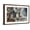 Brown Frame, variant on Art.com Imagine Seedlings Photographic Print by Ursula Abresch, Black Frame Wall Art, 29" x 21"