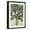 Black Frame, variant on Art.com Green Tree Line III Art Print by PI Studio, 12" x 18"