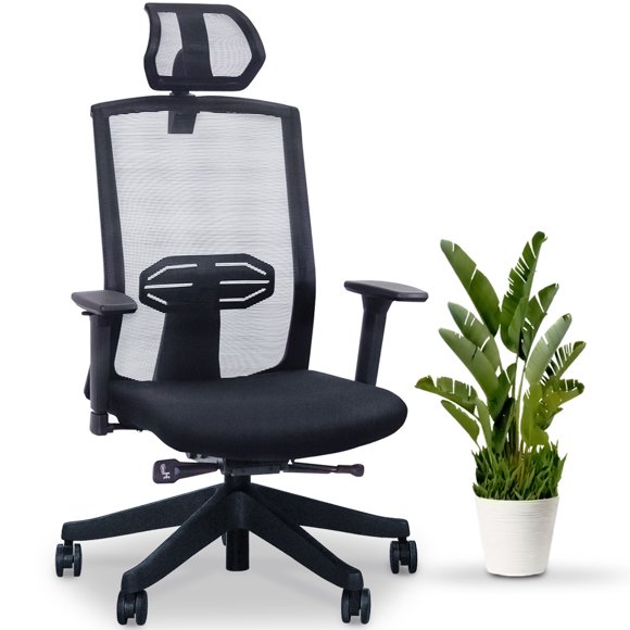 EFFYDESK KarmaChair Ergonomic Office Chair with Adjustable Lumbar-Support and Mesh Back, Black