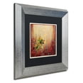 thumbnail image 3 of Trademark Fine Art 'Sunset Birds' Canvas Art by Rachel Paxton, Black Matte, Silver Frame, 3 of 4