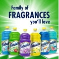thumbnail image 4 of Fabuloso Nettoyant Tout Usage, Formule Concentrée 2X, Parfum Passion de Fruits, 16,9 Fl Oz, 4 of 5